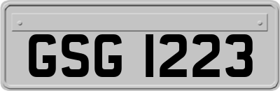 GSG1223