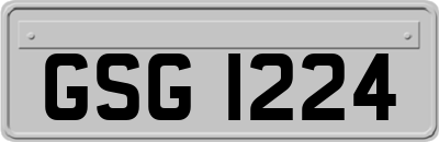 GSG1224
