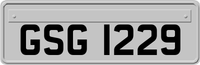 GSG1229