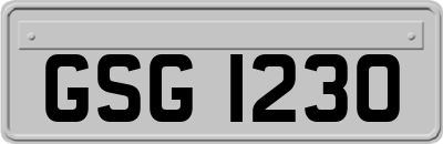 GSG1230