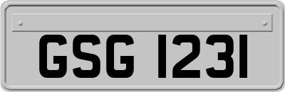 GSG1231