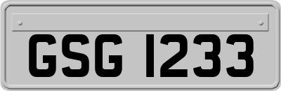 GSG1233