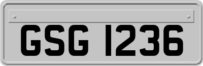 GSG1236