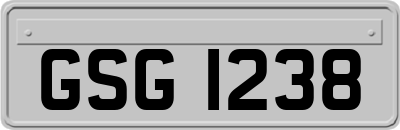 GSG1238