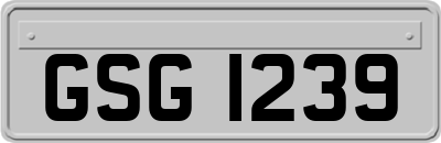 GSG1239