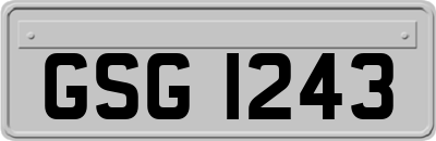 GSG1243