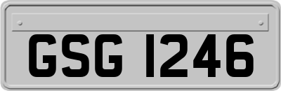 GSG1246