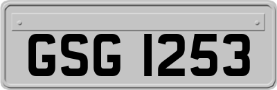 GSG1253