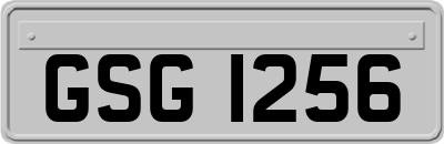 GSG1256