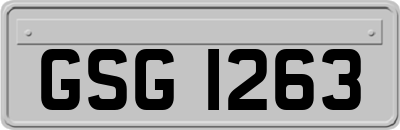 GSG1263