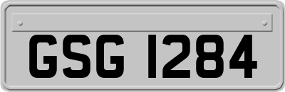 GSG1284
