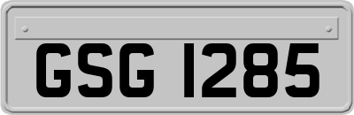 GSG1285