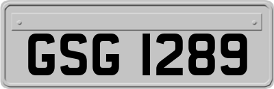 GSG1289