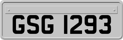 GSG1293