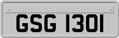 GSG1301