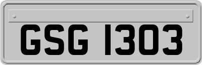 GSG1303