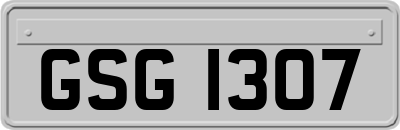 GSG1307