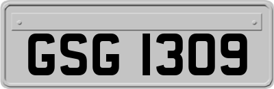 GSG1309