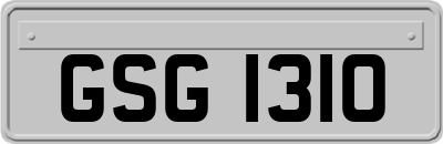 GSG1310