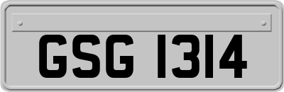 GSG1314