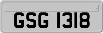 GSG1318