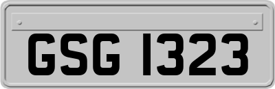 GSG1323