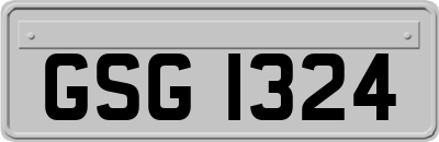 GSG1324