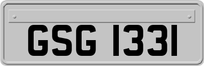 GSG1331