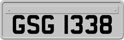 GSG1338