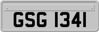 GSG1341