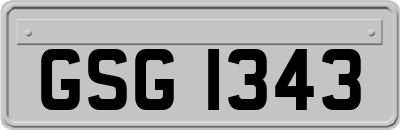 GSG1343