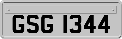 GSG1344