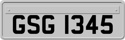GSG1345