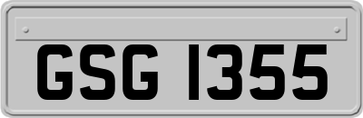 GSG1355