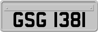 GSG1381