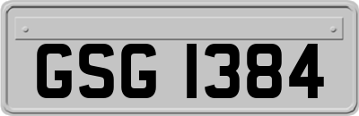 GSG1384