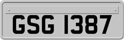 GSG1387