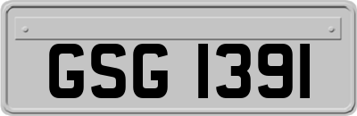 GSG1391