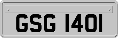 GSG1401