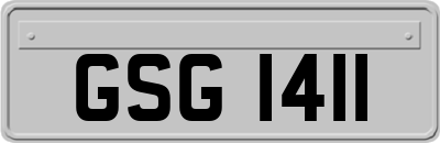 GSG1411