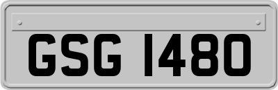 GSG1480