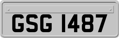 GSG1487