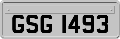 GSG1493