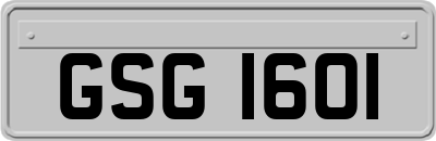 GSG1601