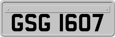 GSG1607