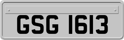 GSG1613