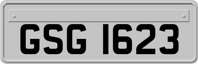 GSG1623
