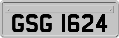 GSG1624