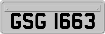 GSG1663
