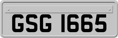 GSG1665
